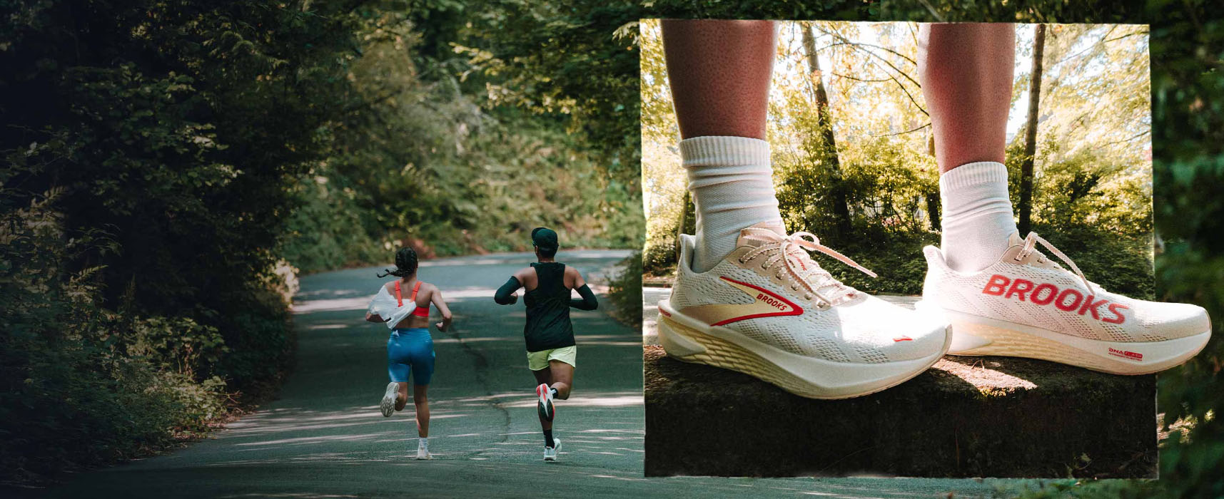 Outdoors Equip Shop -Outdoors Equip Shop CFGFG