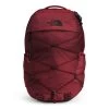 The North Face Borealis -Outdoors Equip Shop NF0A52SE 7S5 hero